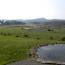 DSCN1604